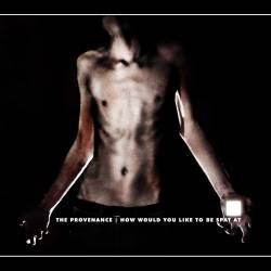 The Provenance : How Would You Like to Be Spat At